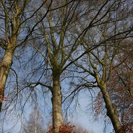 Lägenhet Le Lumadel Ex Parc De Bis *