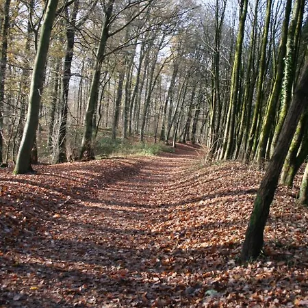Lägenhet Le Lumadel Ex Parc De Bis Malmedy