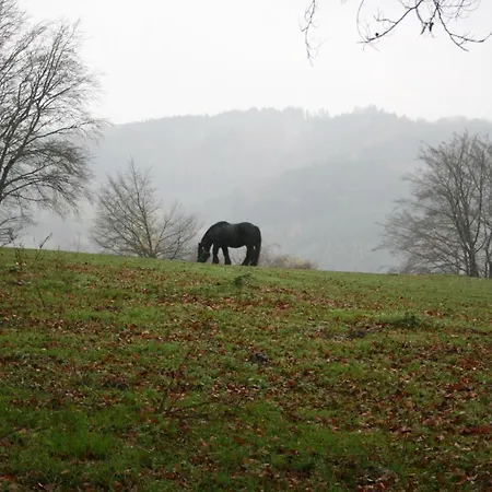 Le Jolivel Malmedy
