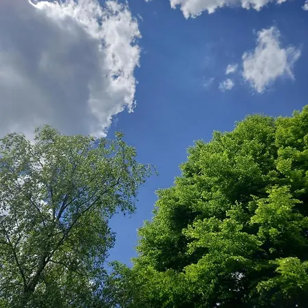 Lägenhet Le Lumadel Ex Parc De Bis Malmedy