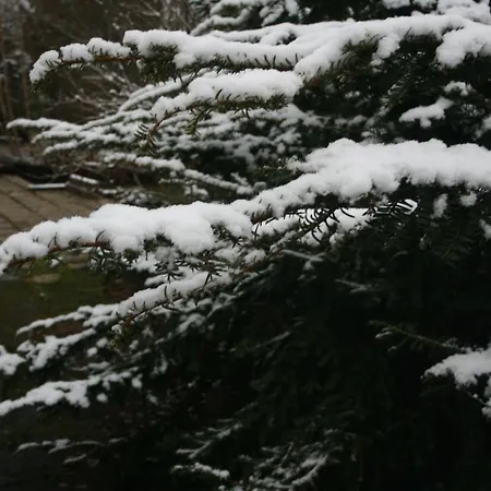 Le Lumadel Apartament *