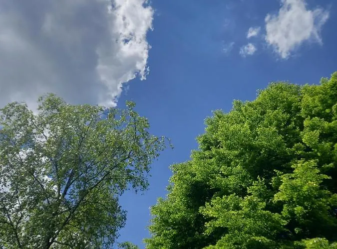 شقة Le Lumadel مالميدي